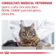 Royal Canin Expert Feline Gastrointestinal Fibre Response – Hrană Uscată pentru Pisici cu Constipație și Tulburări de Tranzit Intestinal, 4 kg